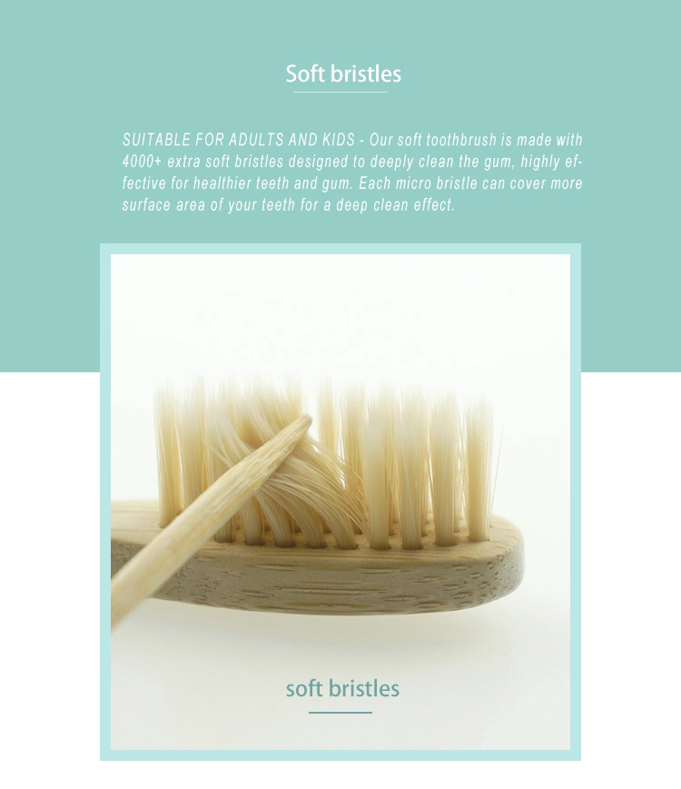2022 New 100% Biodegradable Eco-Friendly Natural Bamboo Toothbrush for Kids and Adults